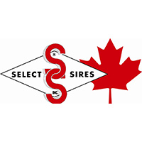 Select Sires
